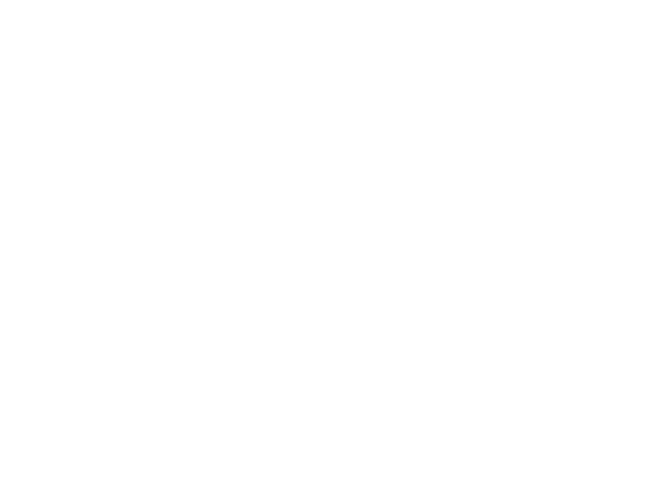 Prisma 1.0 4P JOY FLEX